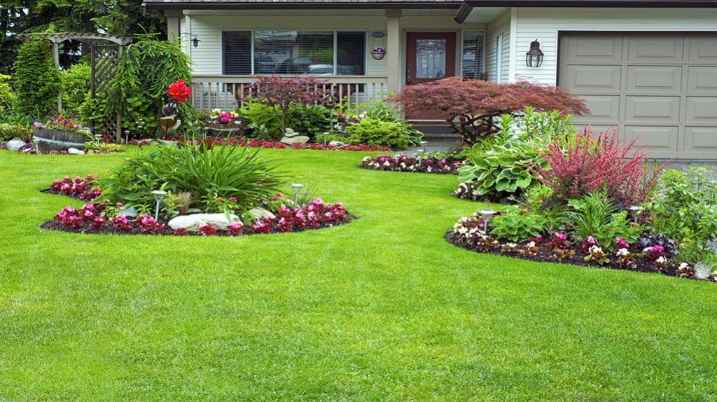 Home Landscaping Tips and Ideas