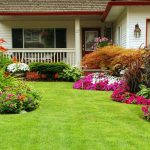 Best Lawn Care Tips for Every Homeowner