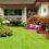 Best Lawn Care Tips for Every Homeowner