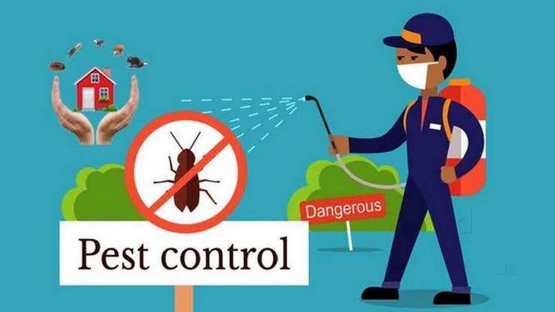 Pest Control London