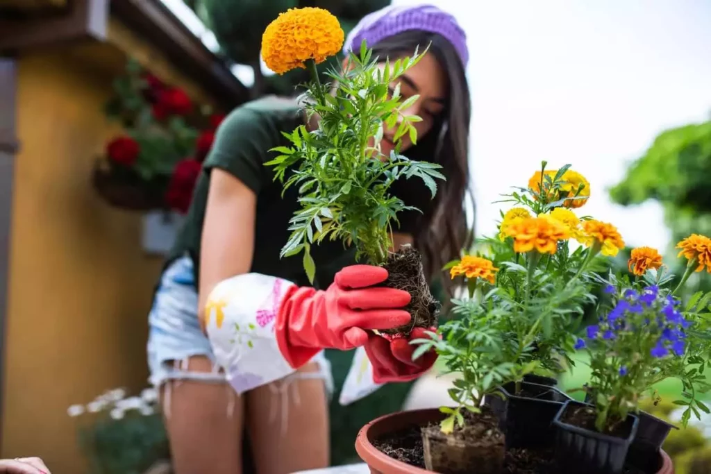 Planting Flowers