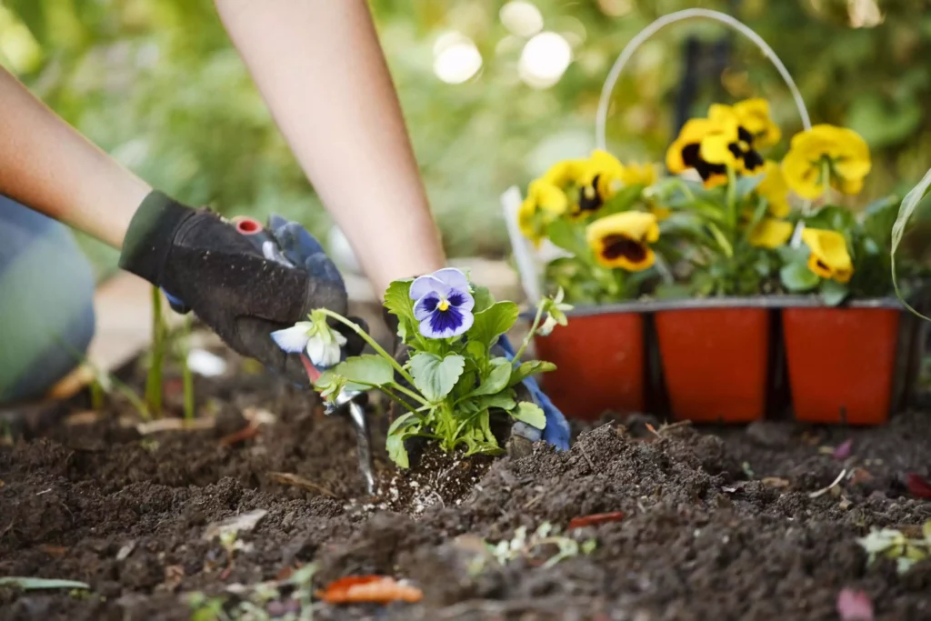 Weed Control