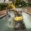 How to Navigate Challenges in Bay Area Pool Demolition