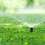 Why Is Sprinkler Repair in Columbine Often Delayed—and What Lawnowners Should Watch For?