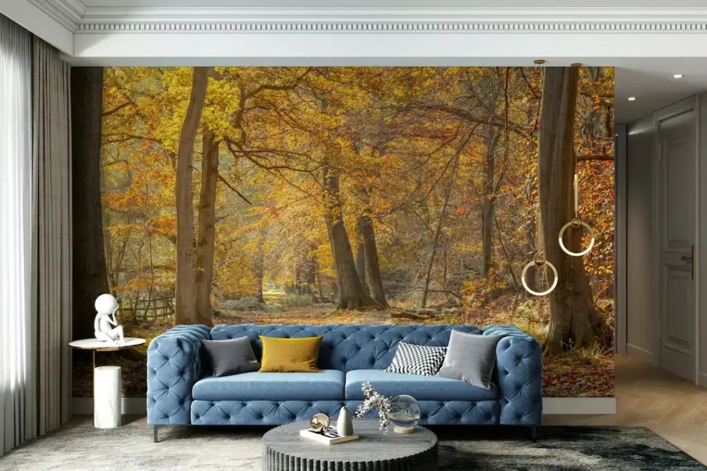 Creative Ideas for Every Room